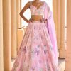 Women Lashkaraa | Peachy Pink Embellished Velvet Lehenga