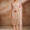 Women Lashkaraa | Peachy Pink Embroidered Straight Suit