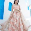 Women Lashkaraa | Peach Foil Embroidered Net Lehenga