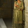 Women Lashkaraa | Dusty Olive Embroidered Straight Suit