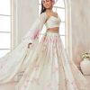 Women Lashkaraa | Off White And Pink Printed Georgette Lehenga