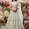 Women Lashkaraa | Dusty Mint Green Multicolor Embroidered Net Lehenga