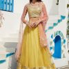 Women Lashkaraa | Yellow And Pink Embroidered Net Lehenga