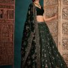 Women Lashkaraa | Dark Green And Gold Embroidered Velvet Lehenga