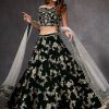 Women Lashkaraa | Green Heavy Embroidered Velvet Lehenga