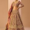 Women Lashkaraa | Magenta Multicolor Embroidered Lehenga